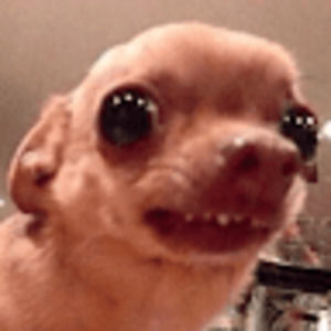 Meet your Posher, Ethan